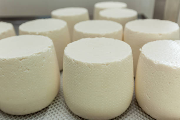 istock a variety of types of cheese 867577980