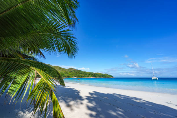 istock stunning paradise beach at anse lazio, praslin, seychelles 14 867580838