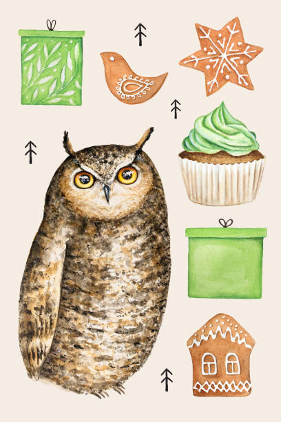 ilustraciones, imágenes clip art, dibujos animados e iconos de stock de diseño de postales de vacaciones. cute owl esponjoso pastel, otros dulces, cajas de regalo. tonos de verde y naturales. - cesta de navidad
