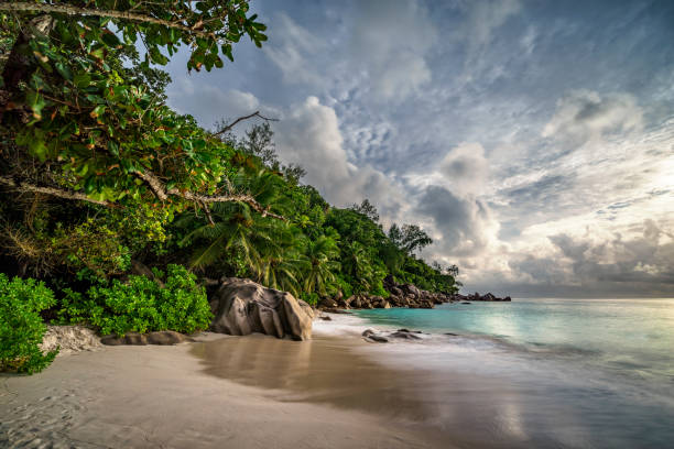 istock paradise beach at anse georgette, praslin, seychelles 22 867588930