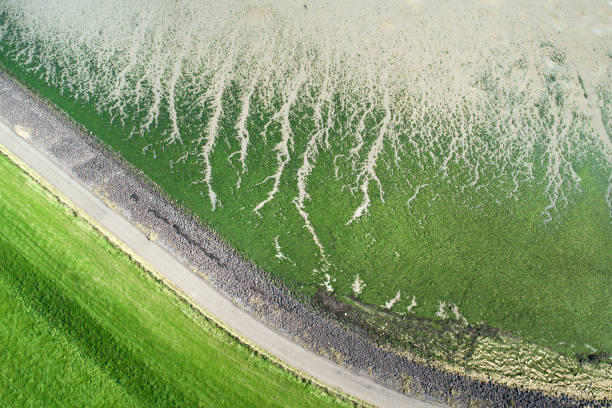 Coastline and dyke, Eastern Scheldt area - aerial view