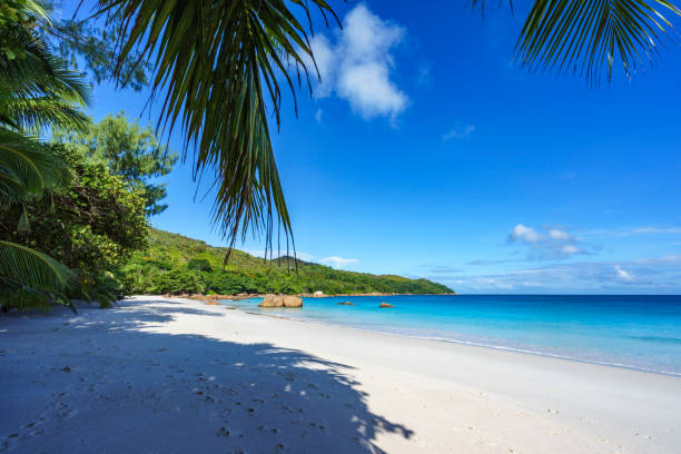 istock stunning paradise beach at anse lazio, praslin, seychelles 30 867591326
