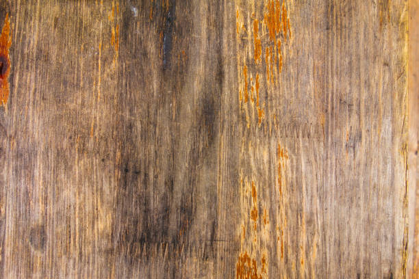 istock wooden texture with some detailes 867612962
