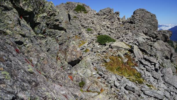 istock I advance a trail up a mountain to depend on a marker. 867616126