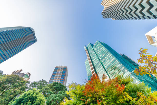 istock Autumnal leaves and urban building groups 867622088