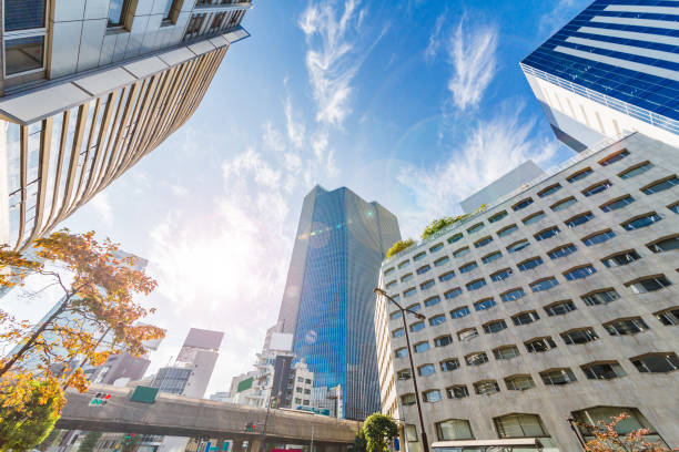 istock Autumnal leaves and urban building groups 867622116