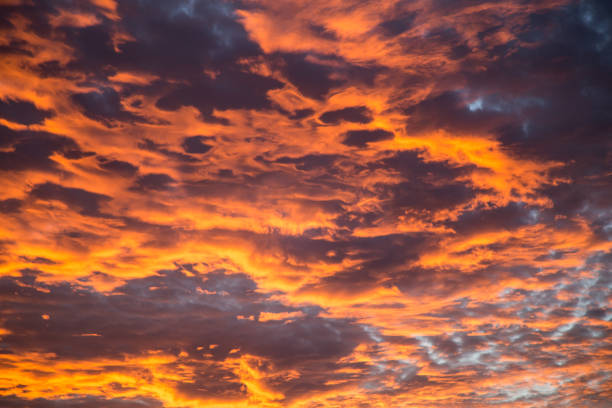 istock Sunset in the Kimberley 867622400