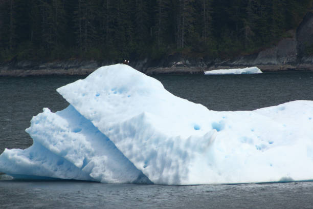 istock Iceberg in Tracy Arm Alaska 867629386