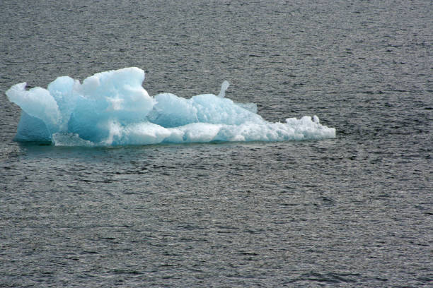 トレーシー アーム アラスカの氷山 - glacier alaska iceberg melting ストックフォトと画像
