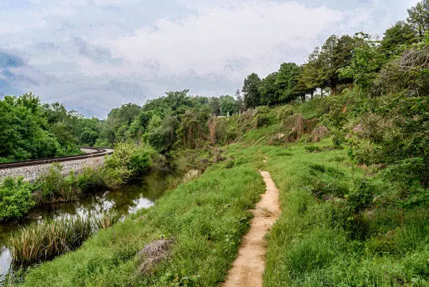 Single track hiking trails in Richmond, Virginia by the James River.