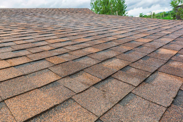 istock Roof shingles background and texture 867631730
