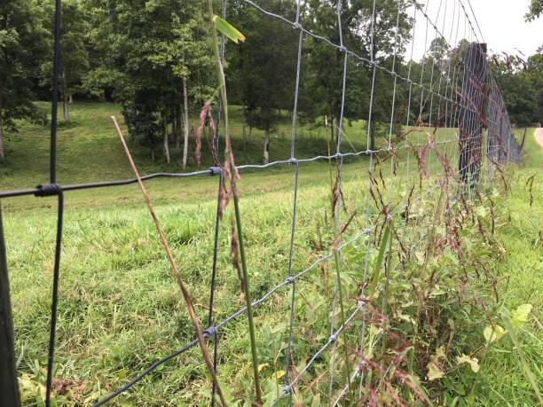 istock Country Fence 867631788