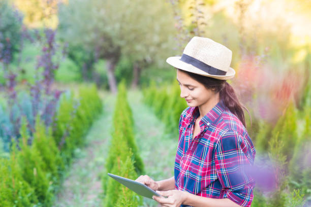 istock Woman using digital tablet at the garden center. 867642068