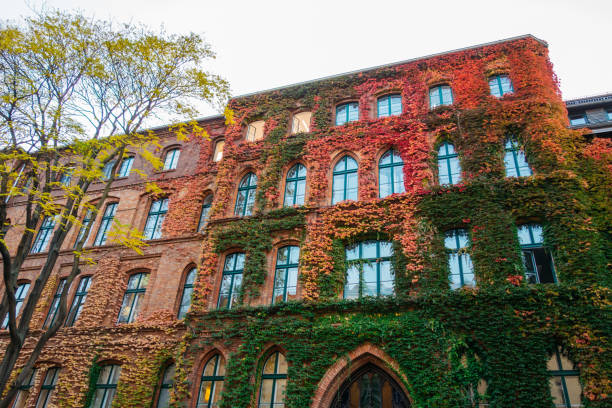 big office building with ivy facade in beautiful colors
