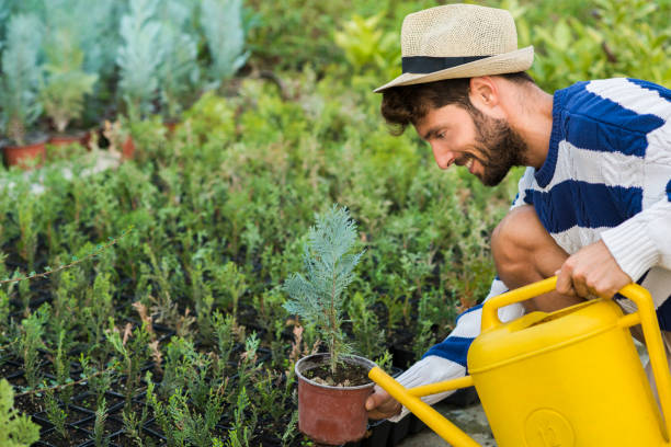 istock Handsome man working in the garden. 867644878