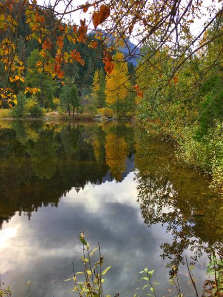 istock Fall Colors Northern California 867645002