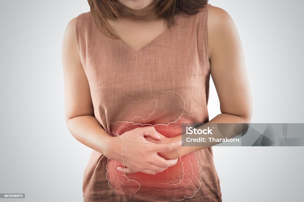 The Photo Of Large Intestine Is On The Woman's Body. People With Stomach Ache Problem Concept. Female Anatomy Intestine Stock Photo