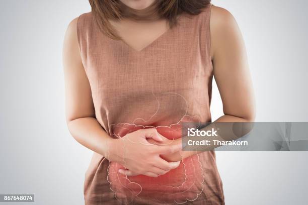 The Photo Of Large Intestine Is On The Womans Body People With Stomach Ache Problem Concept Female Anatomy Stock Photo - Download Image Now