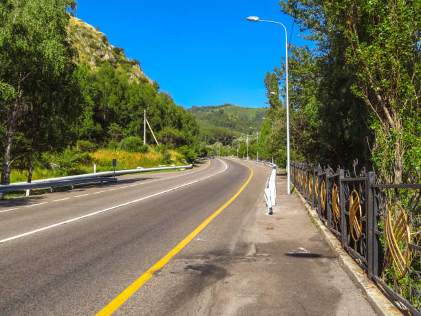 istock Asphalt road in the forest 867654372