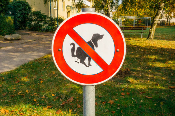 istock no dogs pie sign 867664758