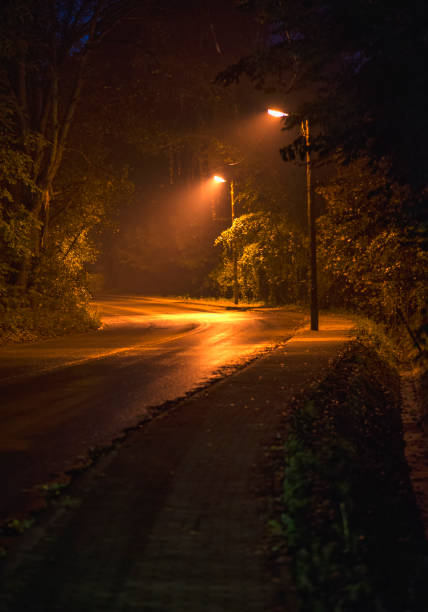 istock Winding road in Kazimierz 867668216