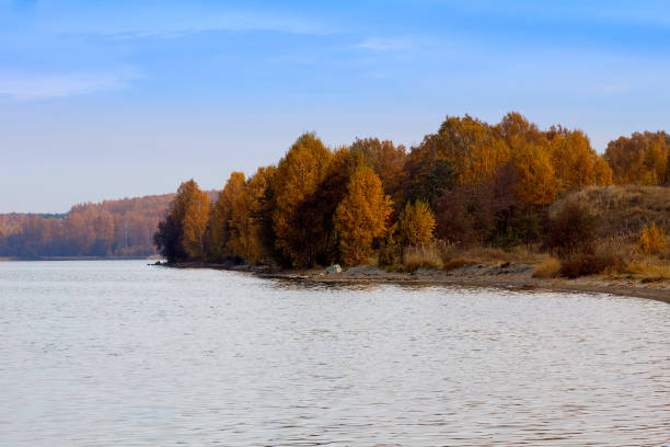 Autumn forest on the lake
