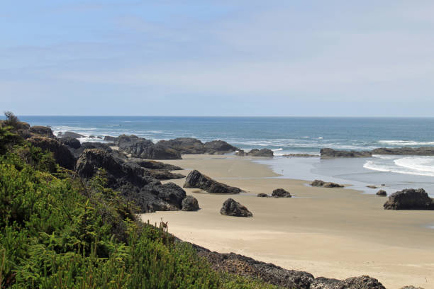 istock A view of the Pacific Ocean in Oregon 867672646