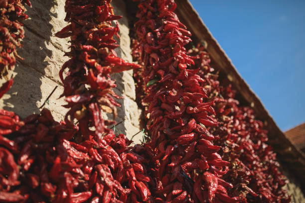 istock Strings of red peppers dry on village house 867678682