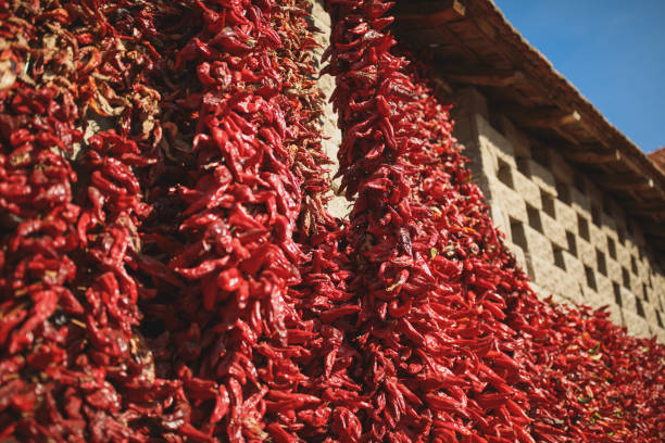 istock Strings of red peppers dry on village house 867678972