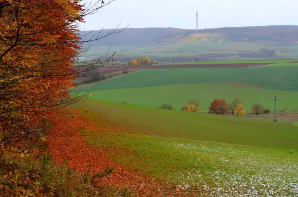 November landscape in Bavaria with leaves and stains of snow