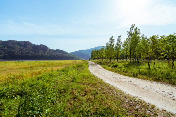 istock On the plains of small dirt road 867680002