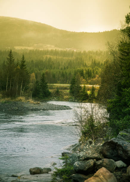 istock Beautiful autumn landscape in central Norway. Colorful fall scenery. 867688924