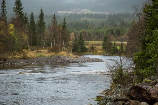 istock Beautiful autumn landscape in central Norway. Colorful fall scenery. 867688936