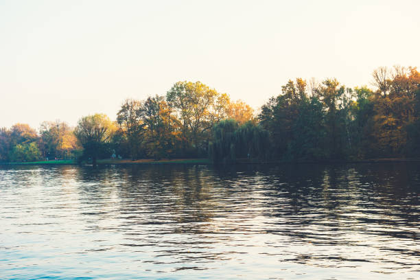 vintage colored river with autumn trees in the background