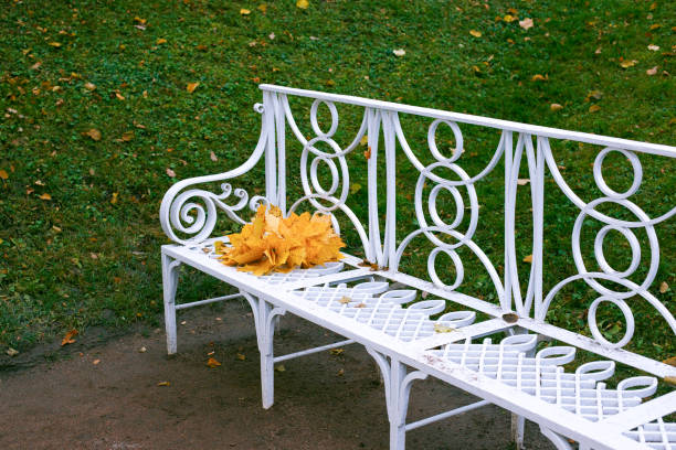 White wooden bench on the background of green grass on it are a bunch of yellow maple leaves