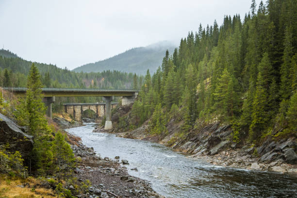 istock A beautiful historic stone bridge crossing the river in central Norway. 867692734