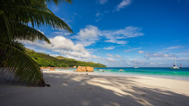 istock Catamarans at anse lazio on the seychelles 31 867697290