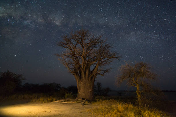istock Baines campsite 1 under the milkyway 867700974