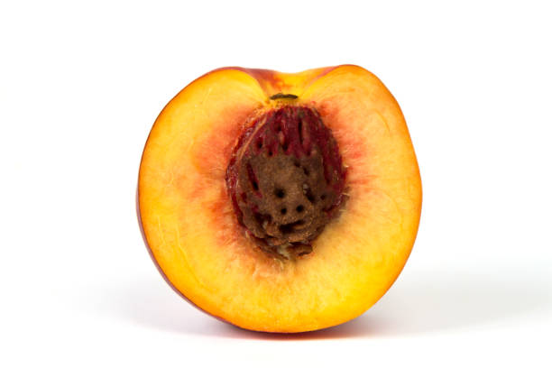 Two halves of pink peach isolated on white background.