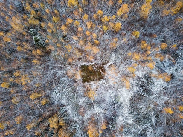 istock First snow. Lake in forest. Top view landscape 867705384