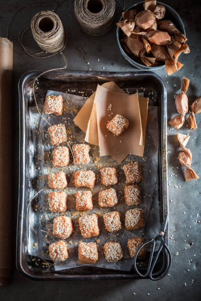 delizioso fudge fatto in casa con sesamo e zucchero - 6139 foto e immagini stock