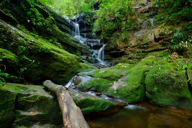 istock Beautiful waterfall stream at Phu-Soi-Dao National Park, Utradit, Thailand 867723476