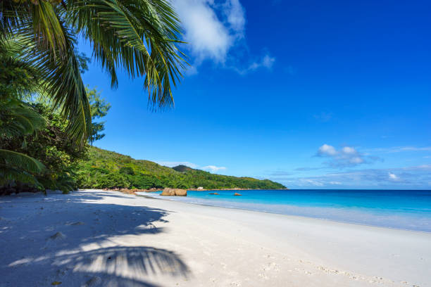 istock stunning paradise beach at anse lazio, praslin, seychelles 27 867723612