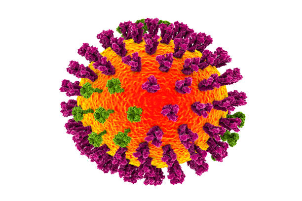 ilustração do vírus da gripe - pig swine flu flu virus cold and flu - fotografias e filmes do acervo