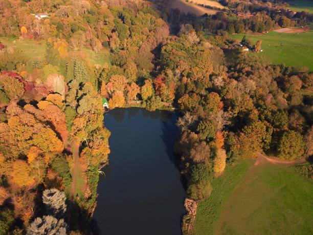 istock Autumn Woodland Colours 867735666
