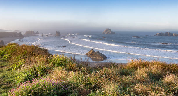istock Bandon Beach,Oregon, USA 867736508