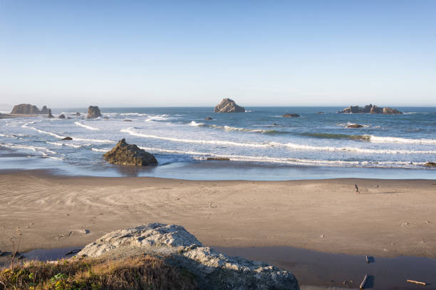 istock Bandon Beach,Oregon, USA 867736714