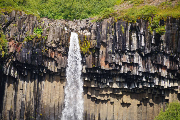 istock Svartifoss waterfall surrounded by dark lava columns,Iceland 867739728