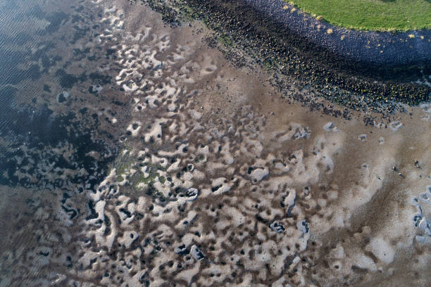 istock Coastline, tideland, mudflat - aerial view 867739866