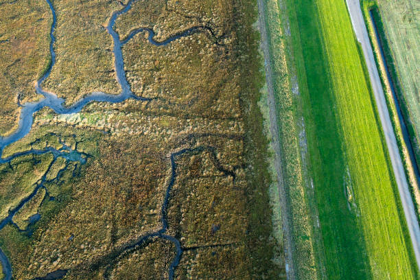 istock Dyke, salt marsh and coastline - aerial view 867742056